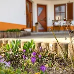 Schwarzalb Apartment