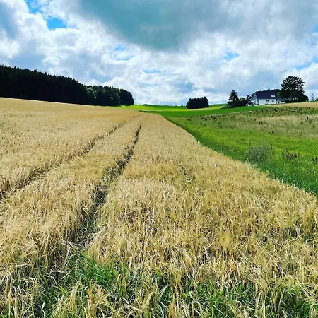 Appartamento Schwarzalb Eschbronn